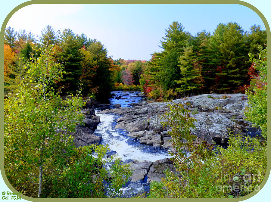 Nature Photograph - The View From The Bridge by Rennae Christman Nature Photograph - The View From The Bridge by Rennae Christman
