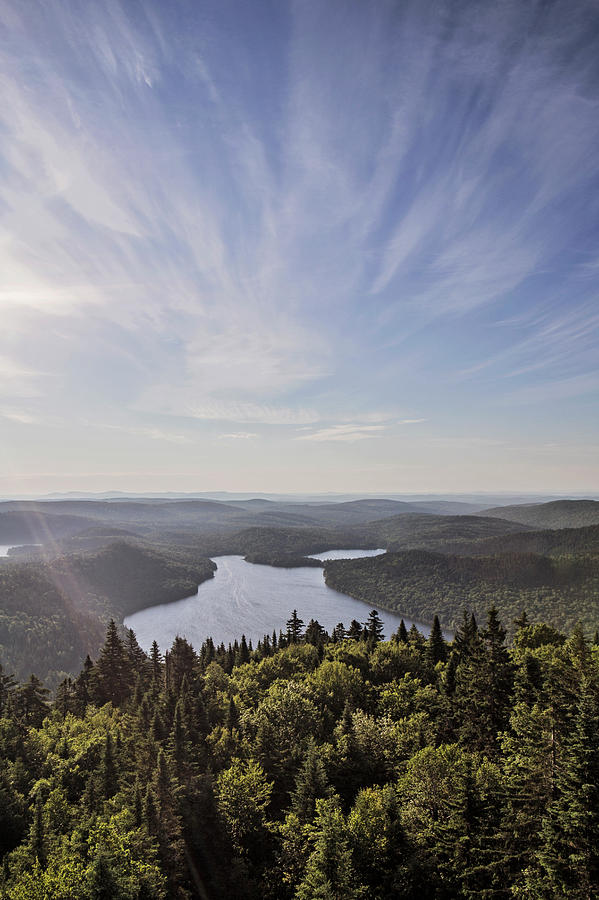 Nature Photograph - The View From The Fire Tower by Chris Bennett
