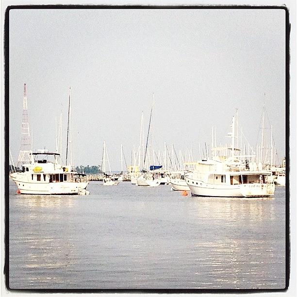 The View Of Annapolis Harbor. Im Photograph by Shawn Hummell