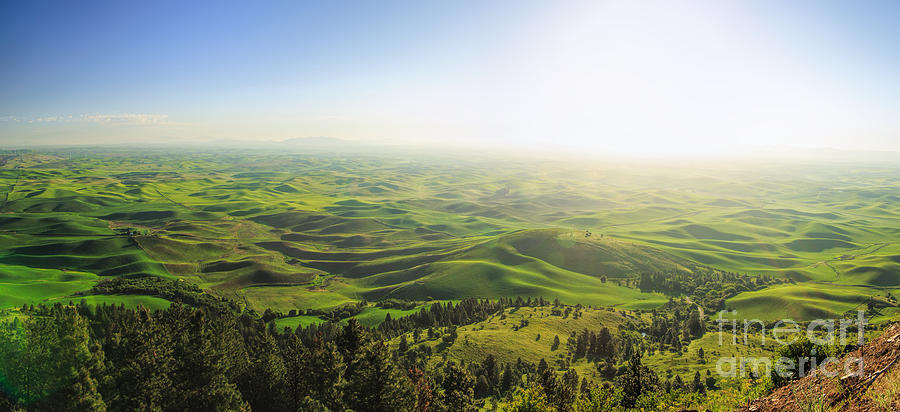 The View - Palouse Country Photograph by Beve Brown-Clark Photography