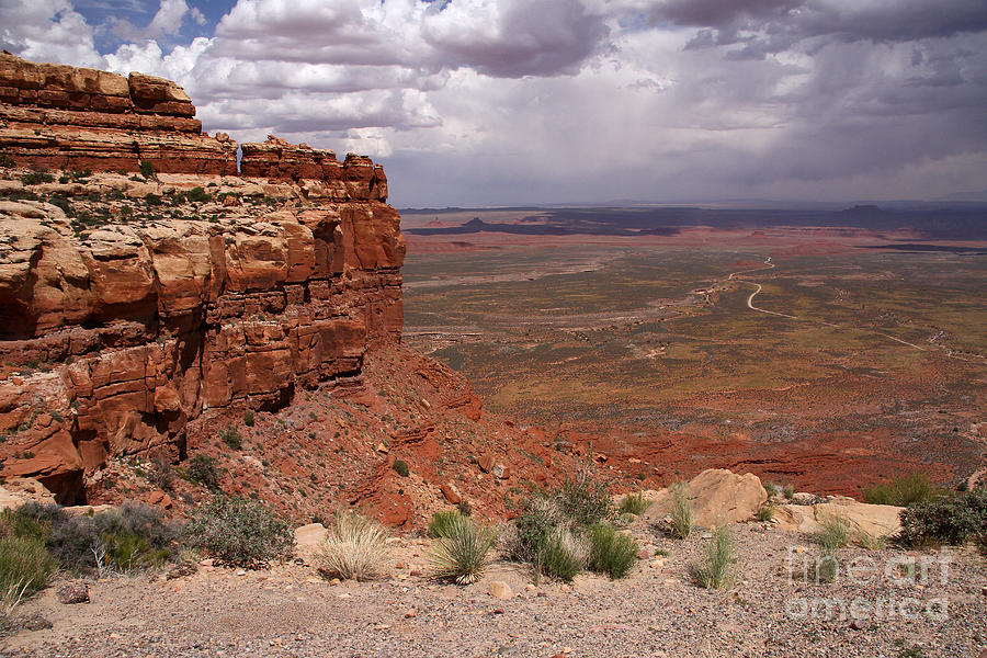 The View South from Moki Dugway Photograph by Butch Lombardi
