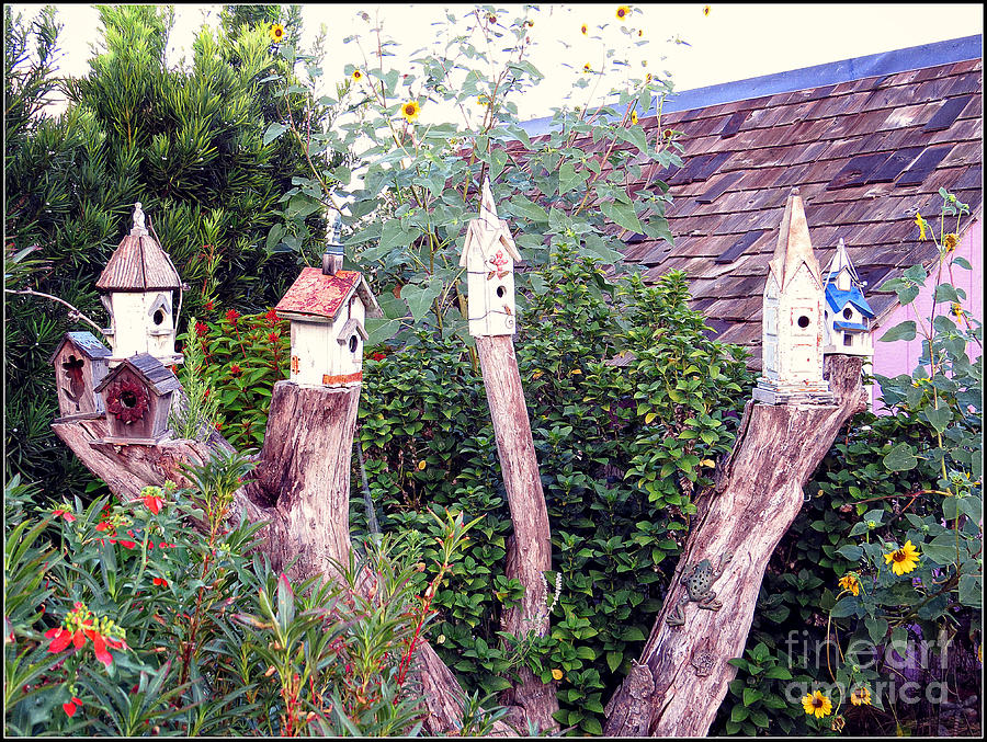 The Village - Birdhouses Photograph by Ella Kaye Dickey