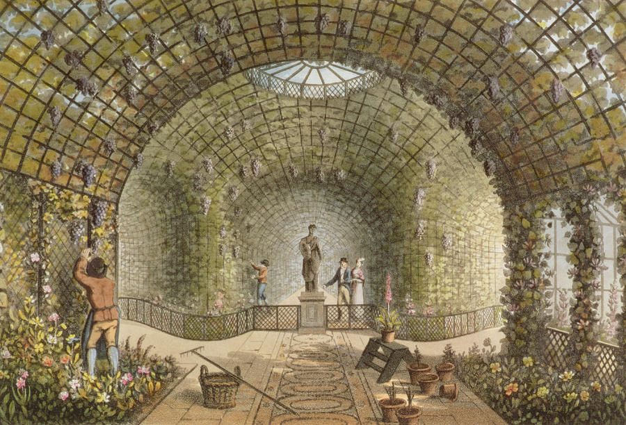 The Vinery Drawing by Humphry Repton