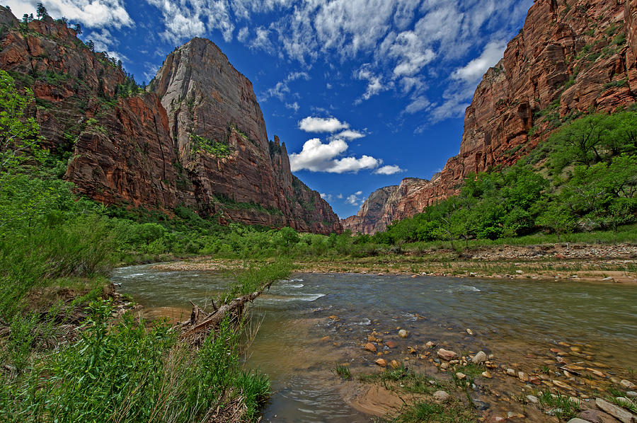 The Virgin River Through Zion National Park Photograph by Willie Harper