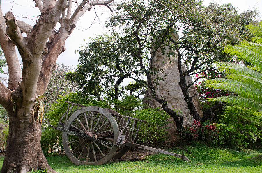 The Wagon and the Rock Photograph by Kathy Paynter