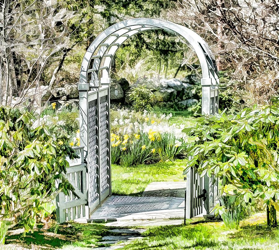 The Waiting Garden Photo Art Photograph by Constantine Gregory