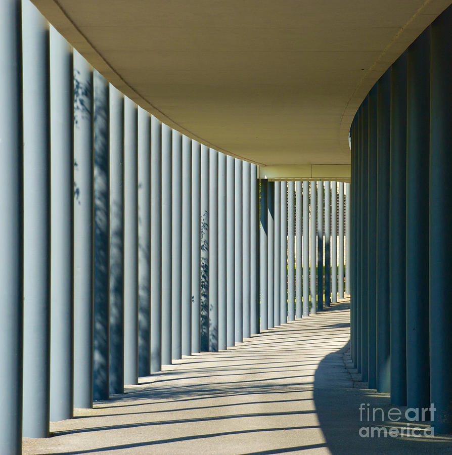 The walkway in the columns Photograph by Mark Dodd