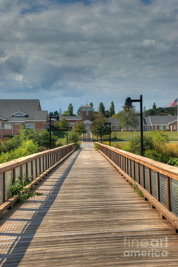 The Walkway Photograph by Mark Dodd
