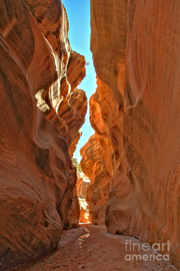 Escalante Photograph - The Walls Of Willis by Adam Jewell