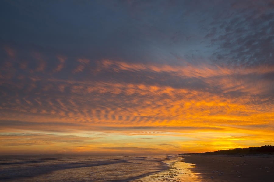 The Warm Sunset of Carolina Photograph by Bill Cubitt