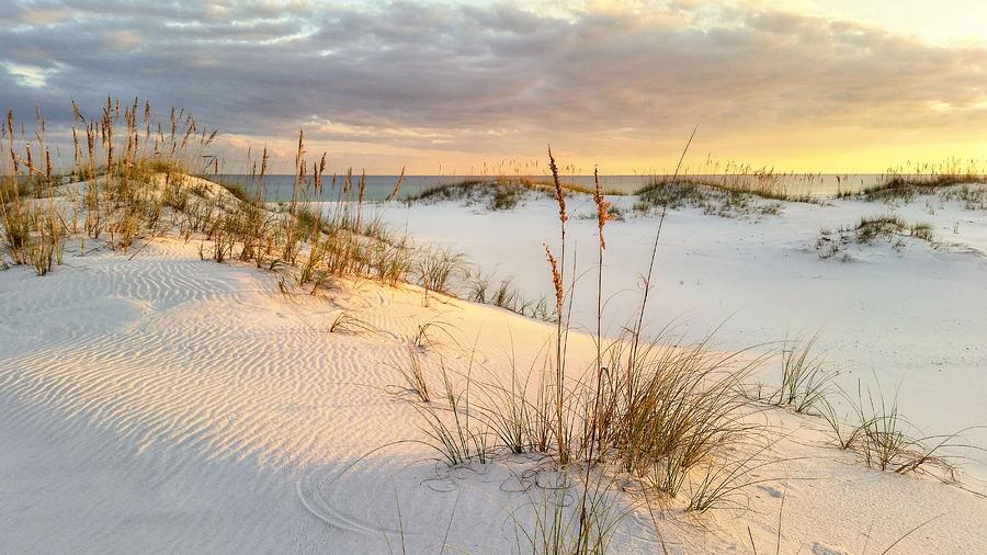 The Warmth of the Sand Photograph by JC Findley