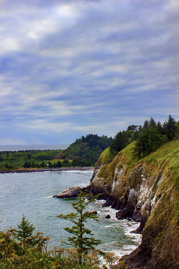 The Washington Coast Photograph by Cathy Anderson