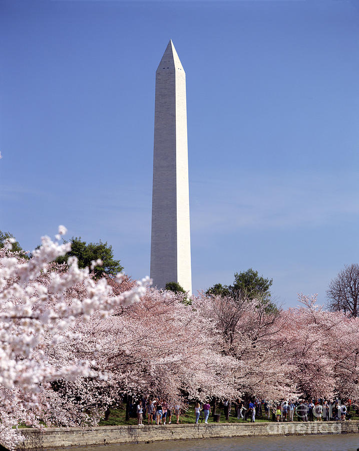 The Washington Memorial Photograph by Rafael Macia