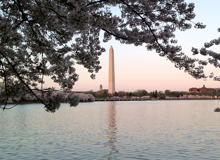 The Washington Monument  Photograph by Lois Ivancin Tavaf