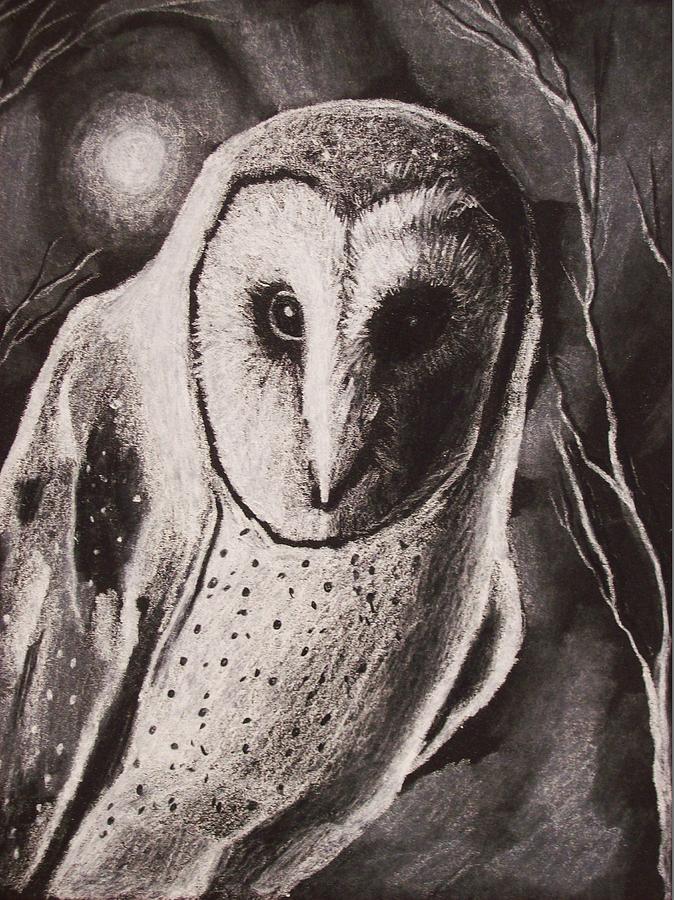 Black And White Drawing - The Watcher 2 by Amber Stanford