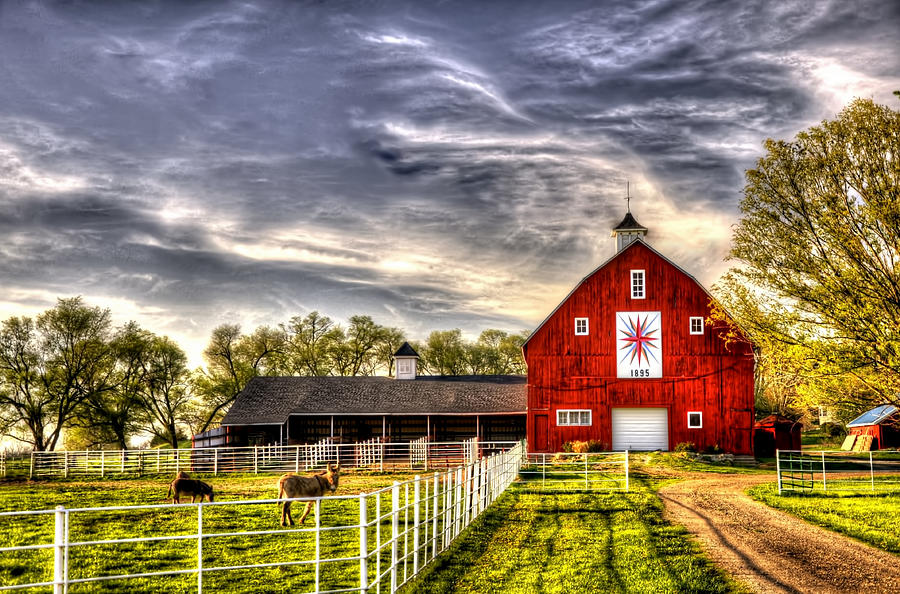 The Watcher and The Red Barn Photograph by Jean Hutchison