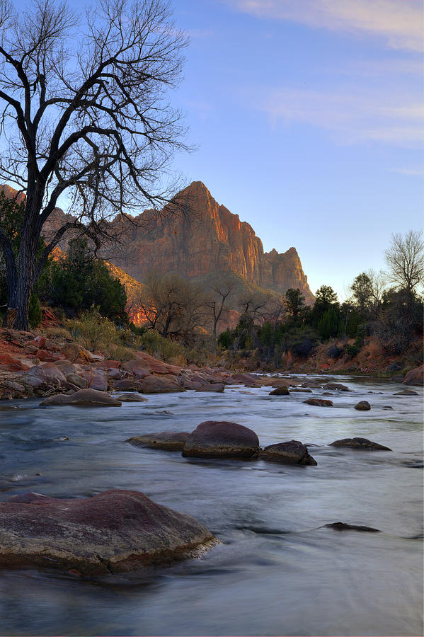 The Watchman Photograph by Alan Vance Ley