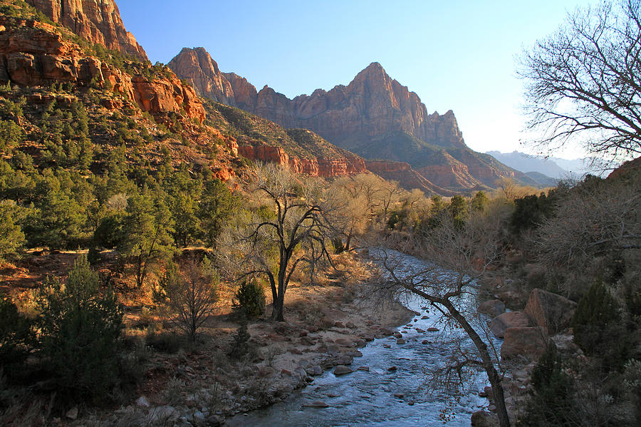 The Watchman Photograph by Ed Riche