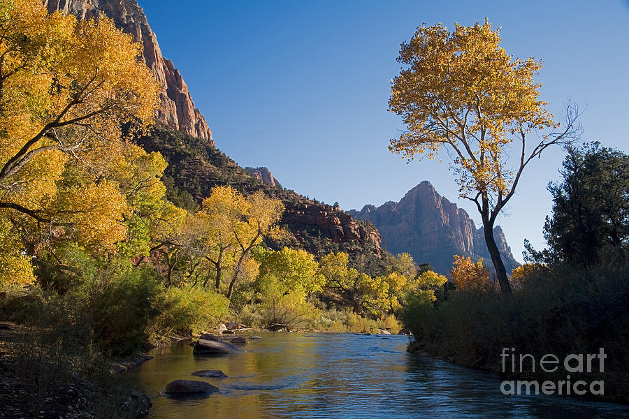 The Watchman Photograph by Fred Stearns