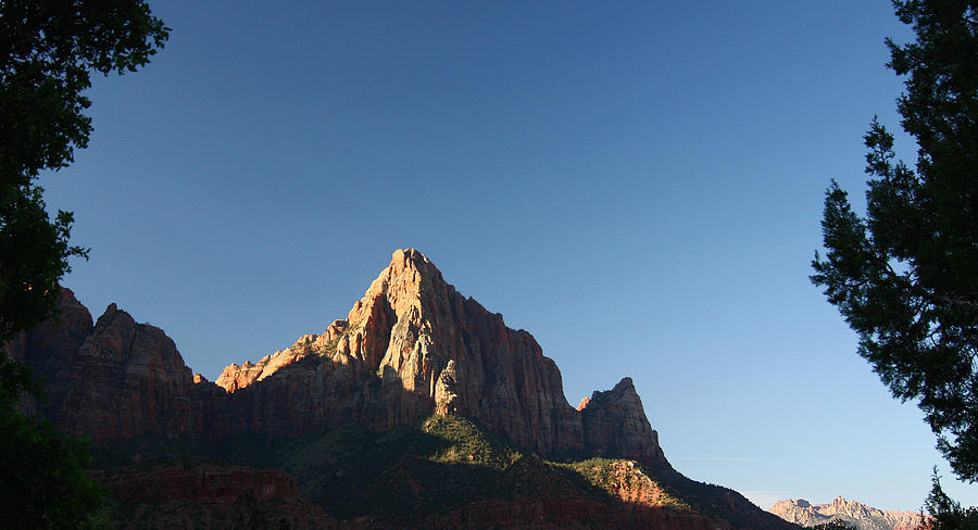 The Watchman in Zion National Park Photograph by Jean Clark
