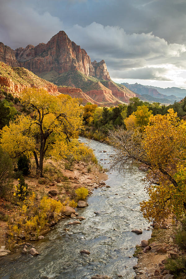 The watchman in Zion national park Photograph by Pierre Leclerc Photography