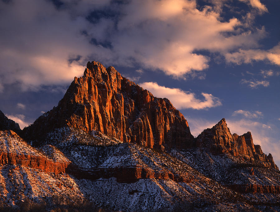 The Watchman Photograph by Ray Mathis