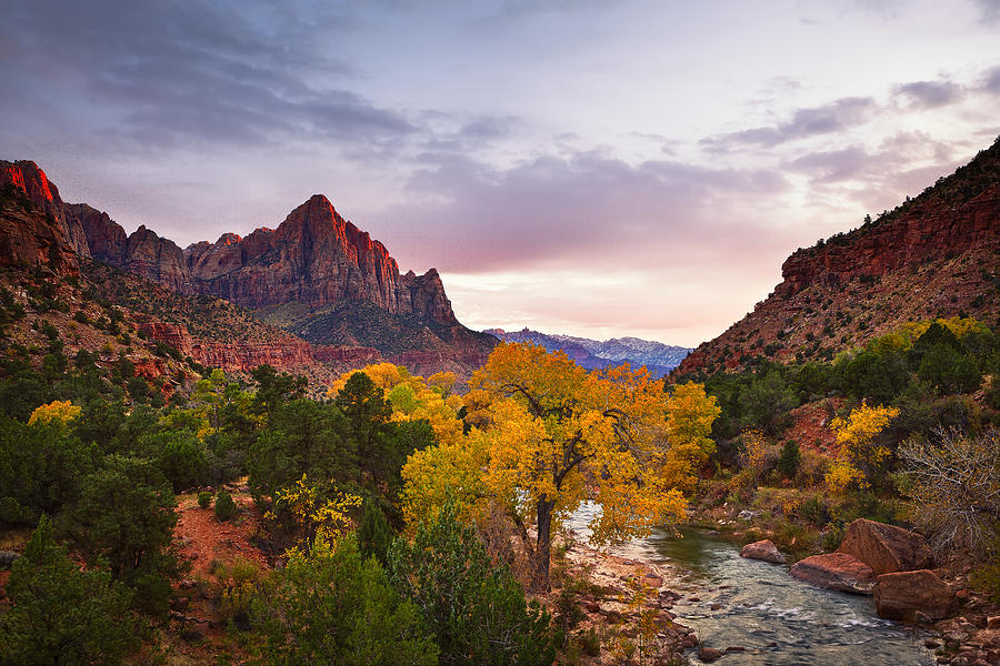 The Watchman Sunset Photograph by Mark Lane