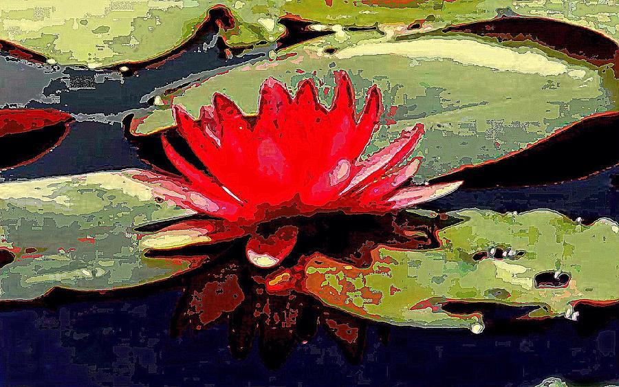The Water Lily of Degas Photograph by Michael Hoard
