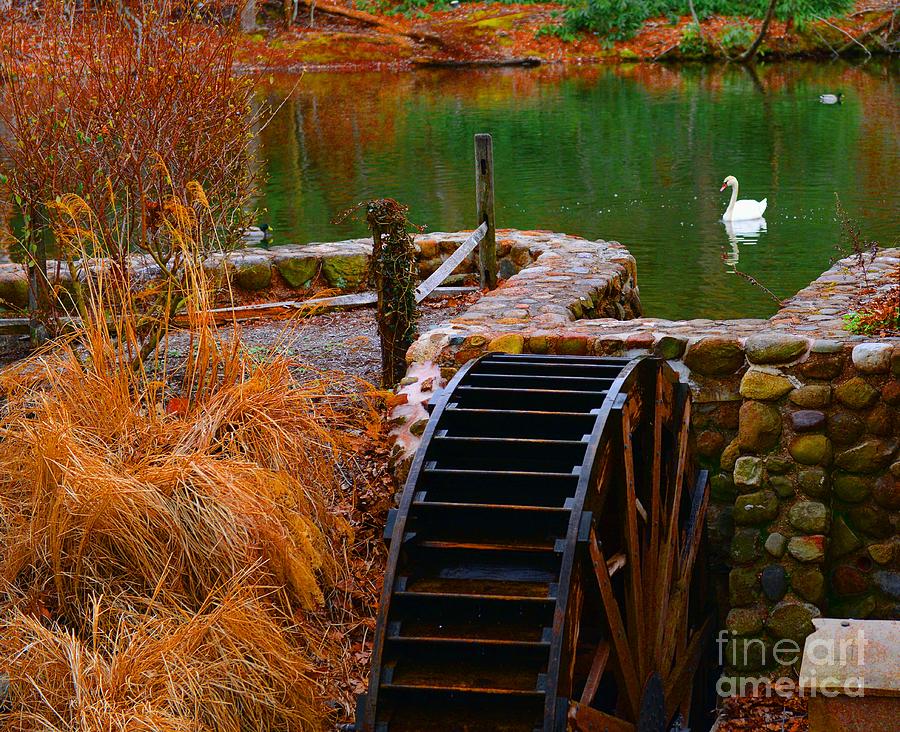 Swan Photograph - The Water Wheel by Paul Ward