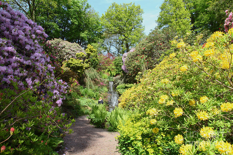 The waterfall at the Dorothy Clive Garden Photograph by John Keates