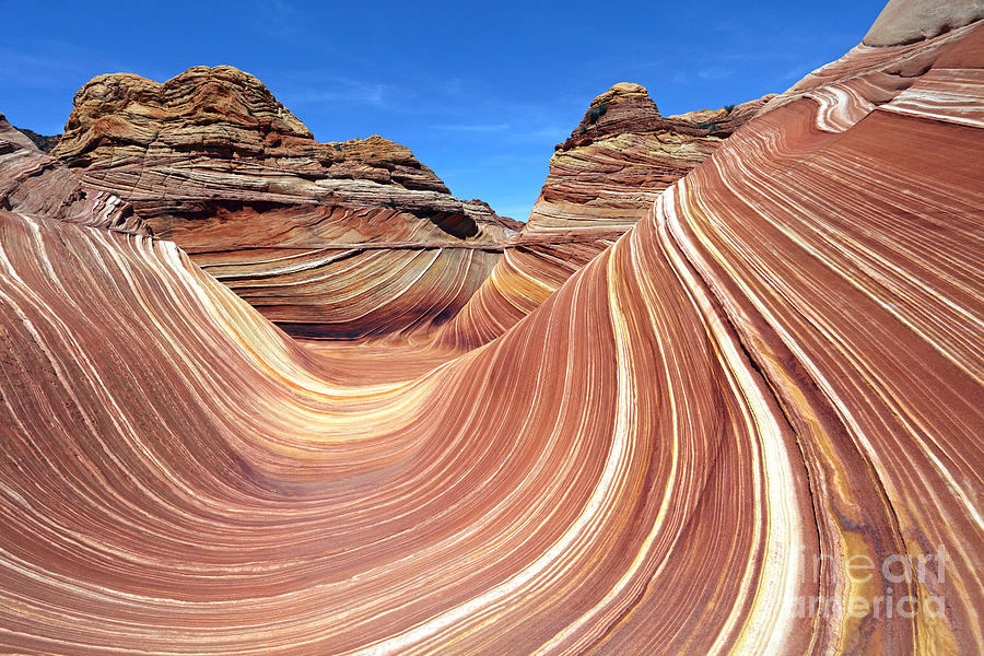 The Wave, Arizona Photograph by Rainer Grokopf