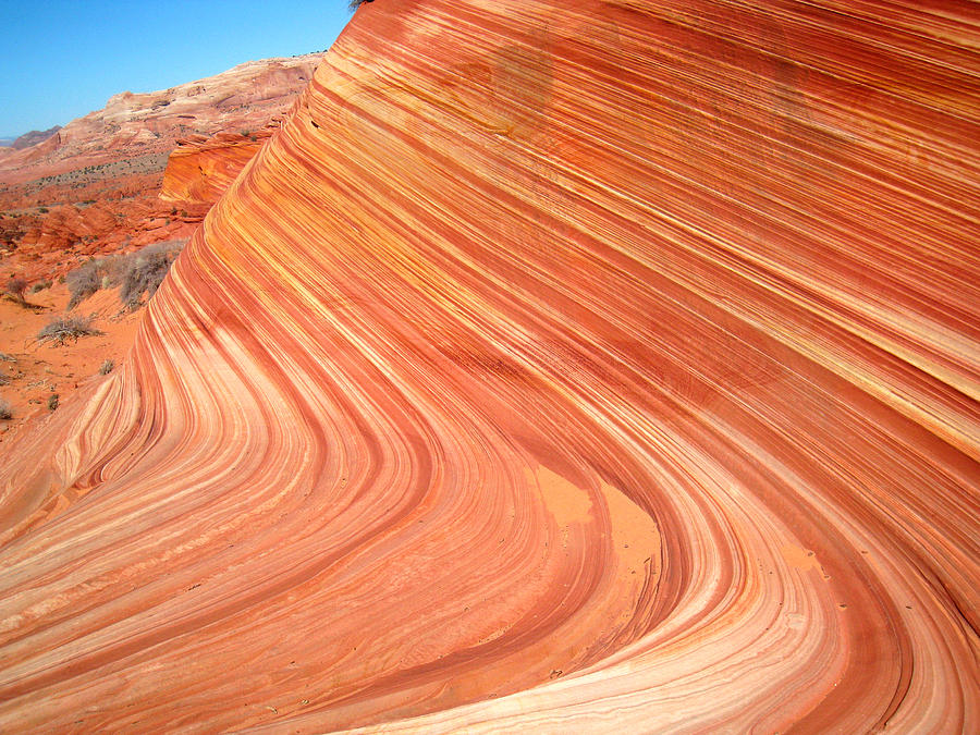 The Wave Photograph - The Wave in Arizona by Wayne Holt