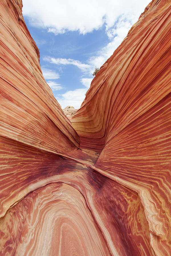 The Wave - North Coyote Buttes Photograph by Patrick Leitz