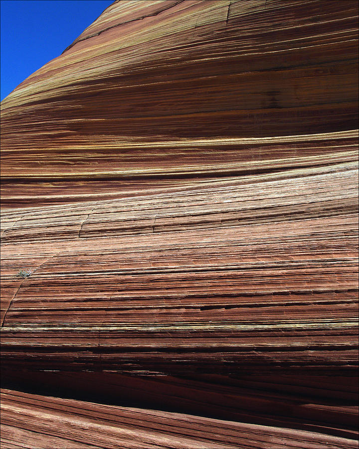 The Wave North Coyote Buttes 06 Photograph by JustJeffAz Photography