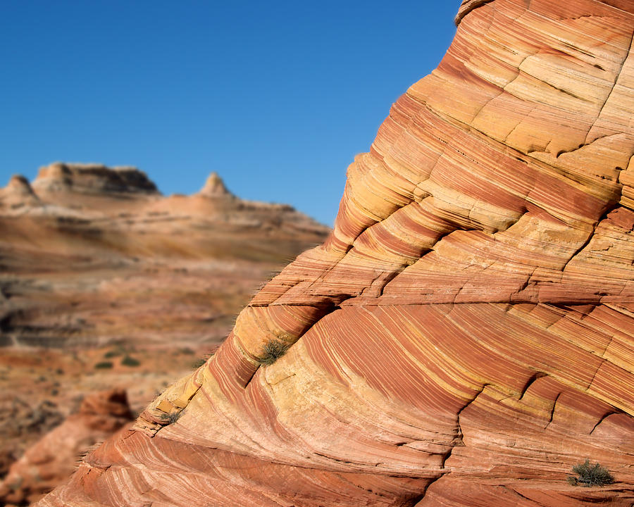 The Wave North Coyote Buttes 13 Photograph by JustJeffAz Photography