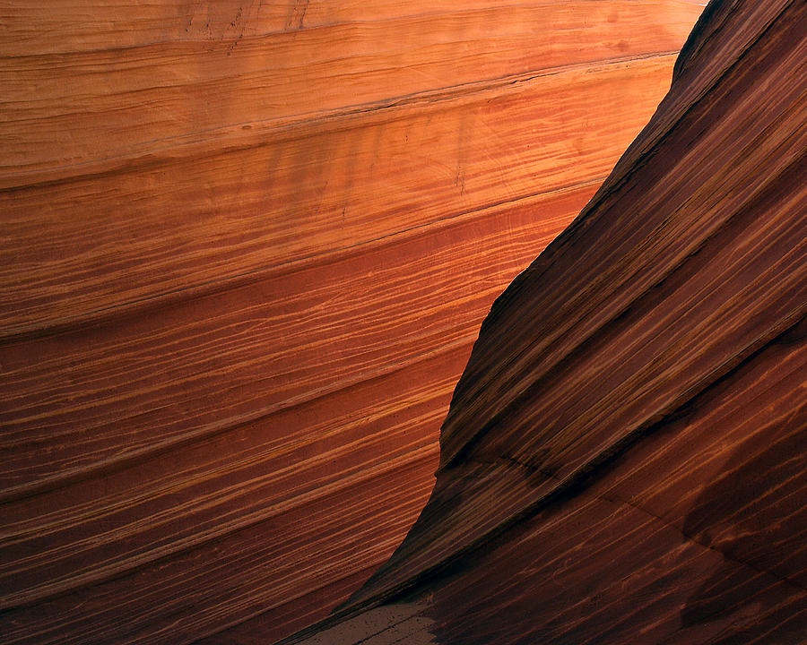 The Wave North Coyote Buttes 47 Photograph by JustJeffAz Photography