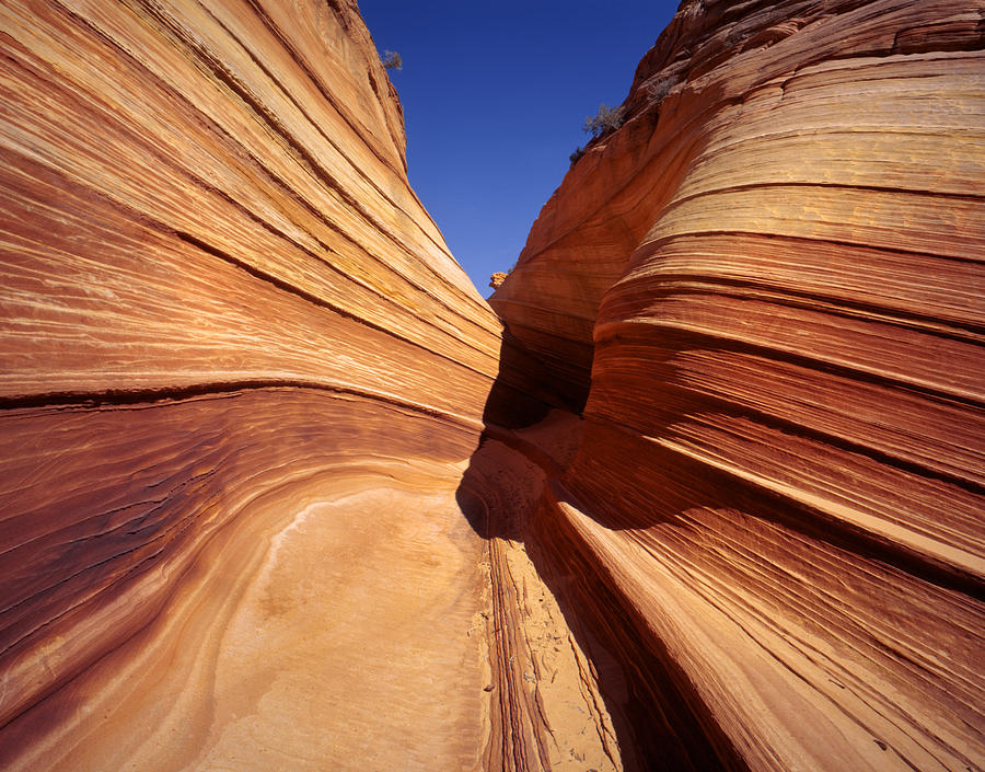 The Wave Utah Photograph by Rich Franco