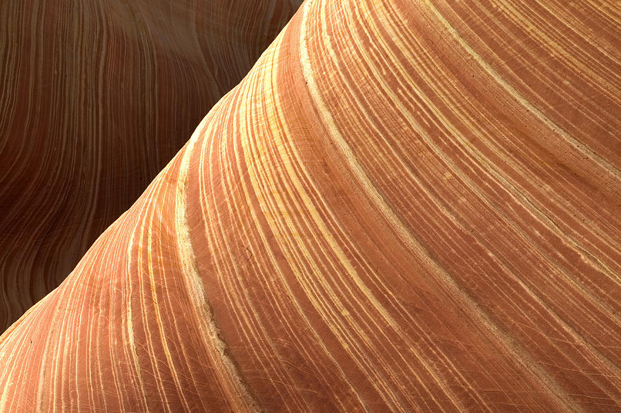 The Wave Vermillion Cliffs Arizona Photograph by Fritz Polking