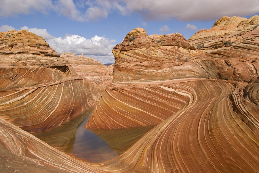 The Wave Vermillion Cliffs Arizona Photograph by Steve Gettle