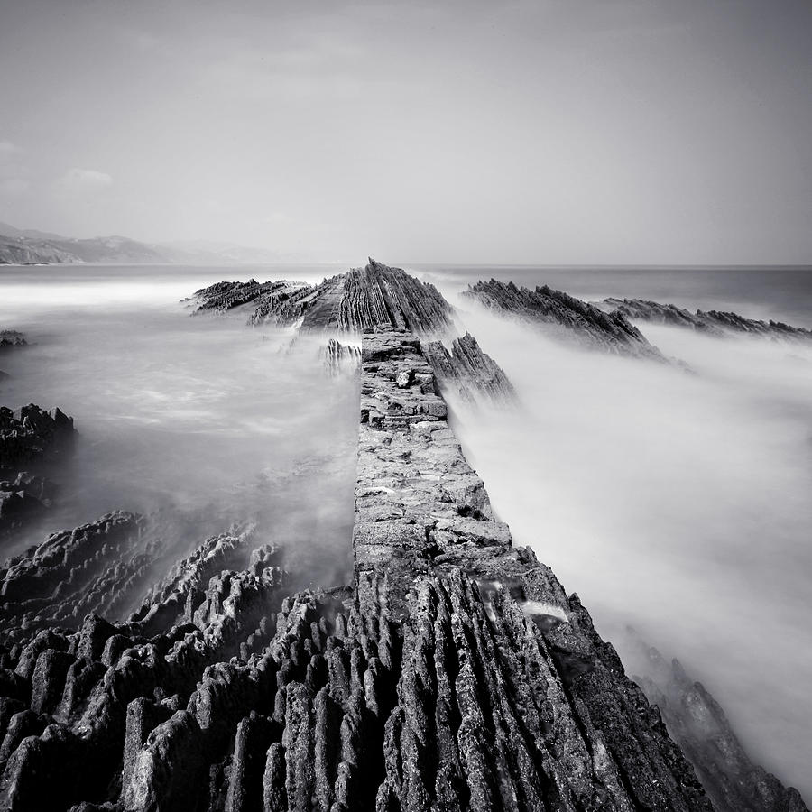 Nature Photograph - The Wavebreaker by Nina Papiorek