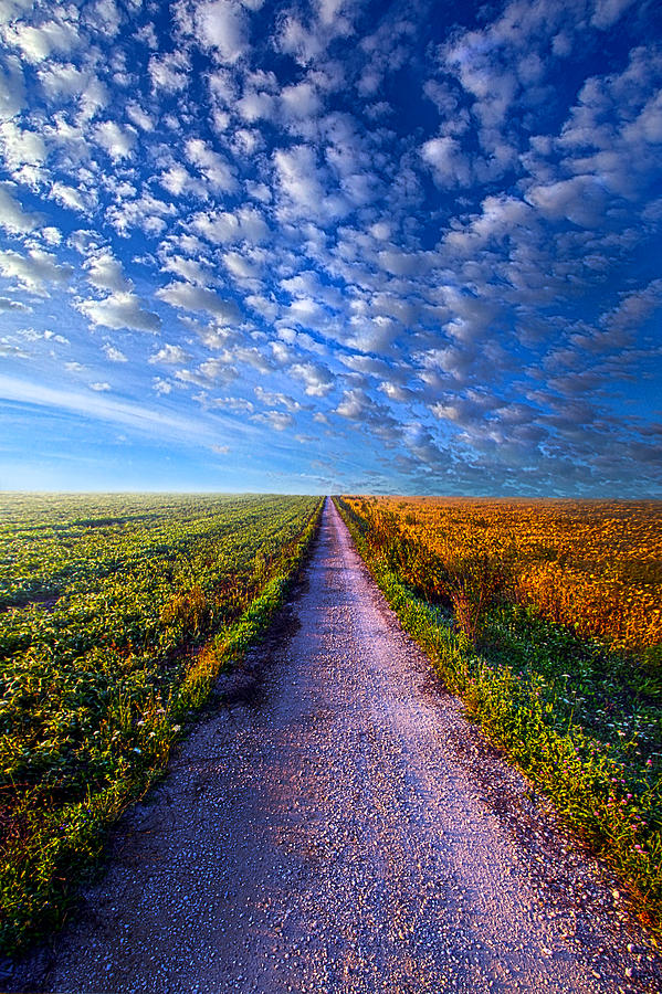 Nature Photograph - The Way Is Clear by Phil Koch
