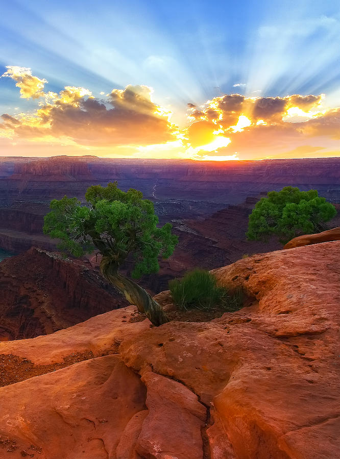 Grand Canyon National Park Photograph - The Way Of Life by Kadek Susanto