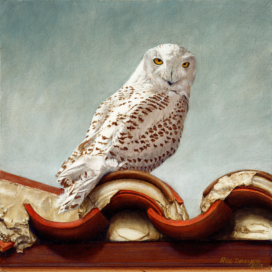 Owl Painting - The Wayward Traveler by Dreyer Wildlife Print Collections 