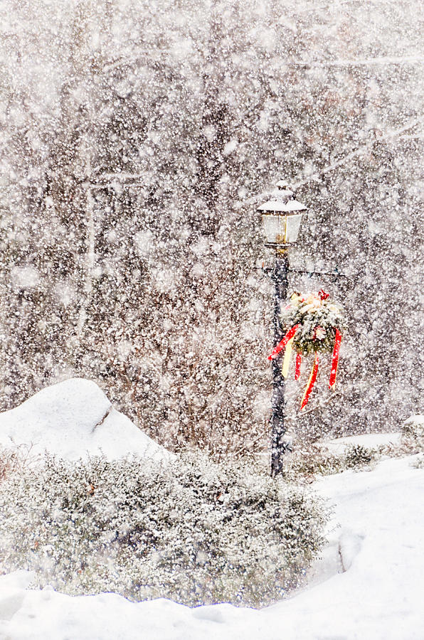 The Weather Outside Is Frightful Photograph by Tricia Marchlik