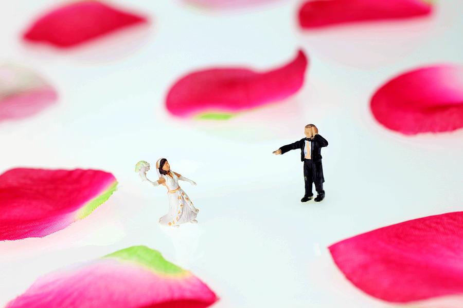 The wedding among rose petals little people big world Photograph by Paul Ge