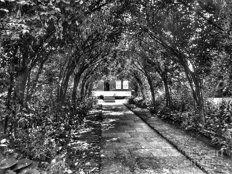 The Wedding Arch In Black And White Photograph