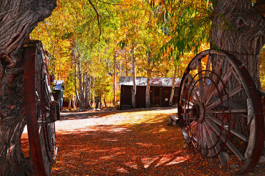The Welcome Wagon Wheels Photograph by Lynn Bauer