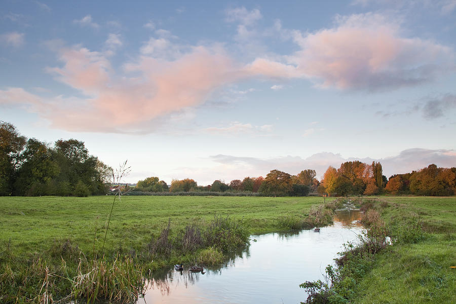 The West Harnham Water Meadows At Dawn Photograph by Julian Elliott Photography