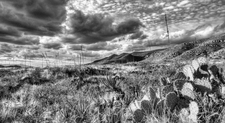 El Paso Photograph - The West Texas Landscape by JC Findley