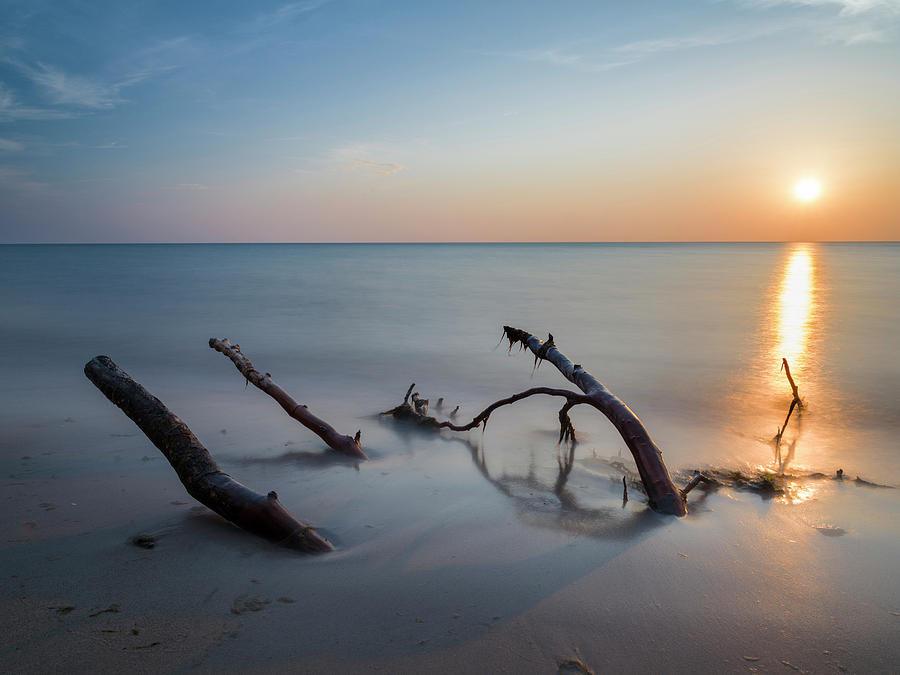 The Weststrand On The Darss Peninsula Photograph by Martin Zwick - Pixels